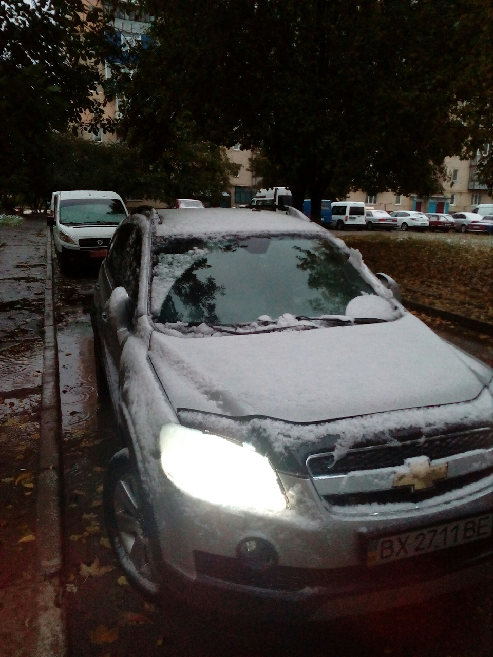 перший сніг на болоті) 2
