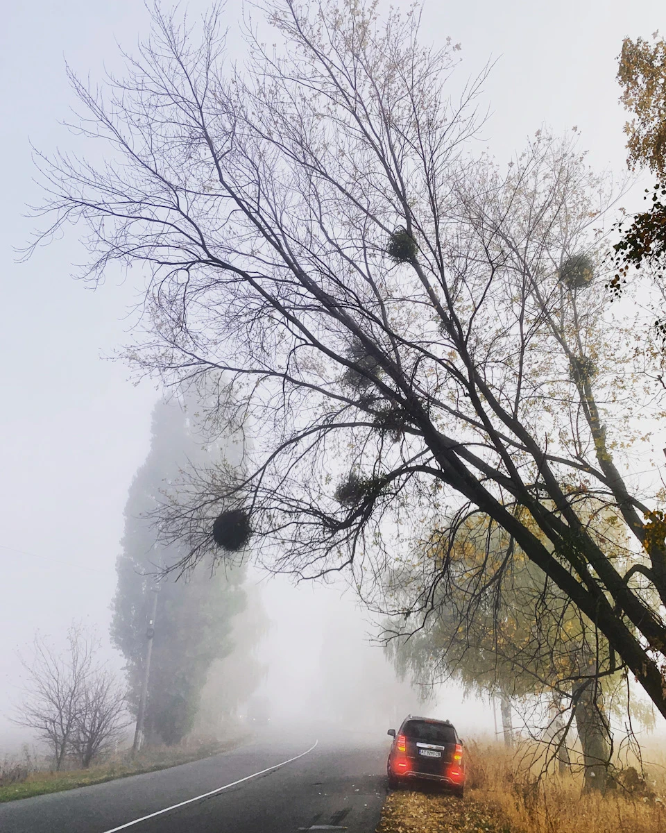 Осіннє про_всім_потроху )