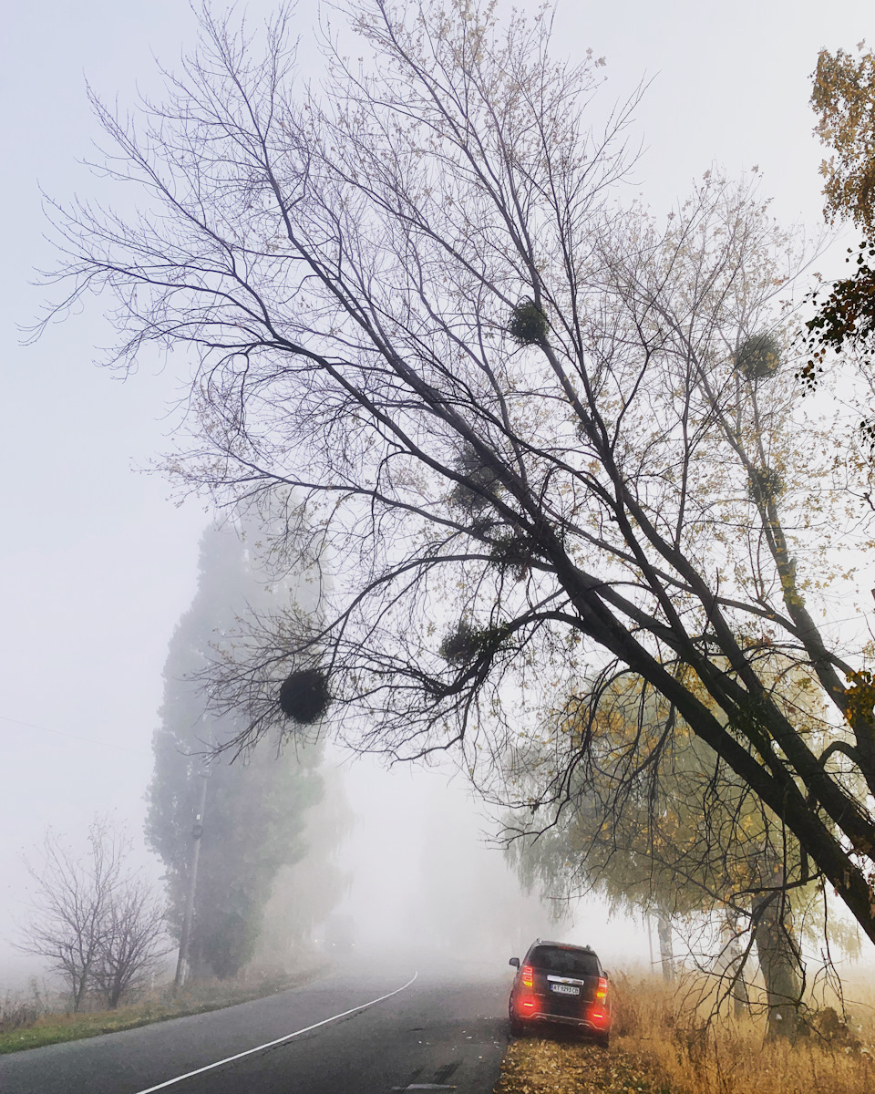 Осіннє про_всім_потроху ) 1