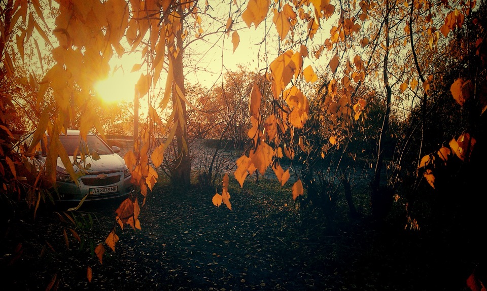 Справжня осінь :) 2