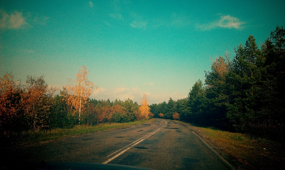Справжня осінь :) 1