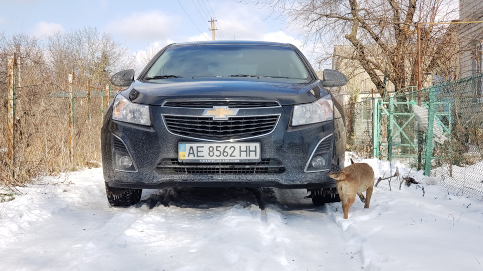Зима 2021 1