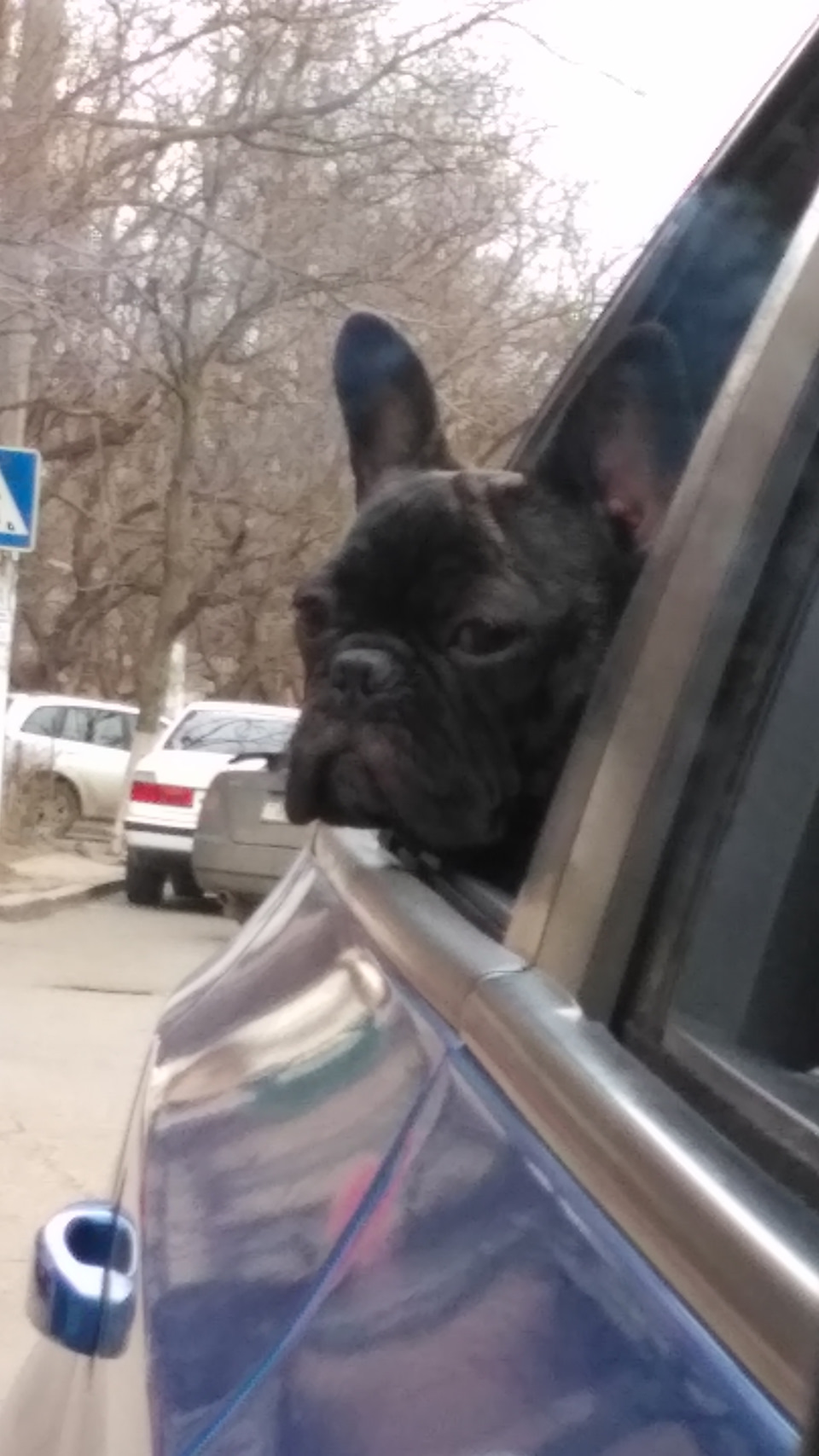 Їдемо до бабусі 1