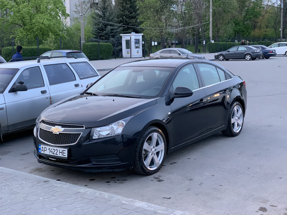 Тапки 1