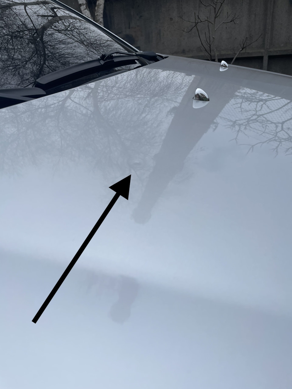 PDR-Paintless Dent Removal. (ТО)🚗 4
