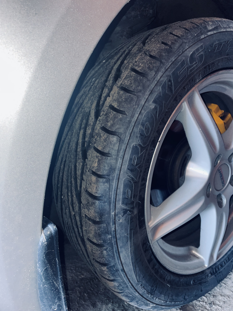 Різаючи 👌 Toyo Proxes t1r 205/55 r16 4