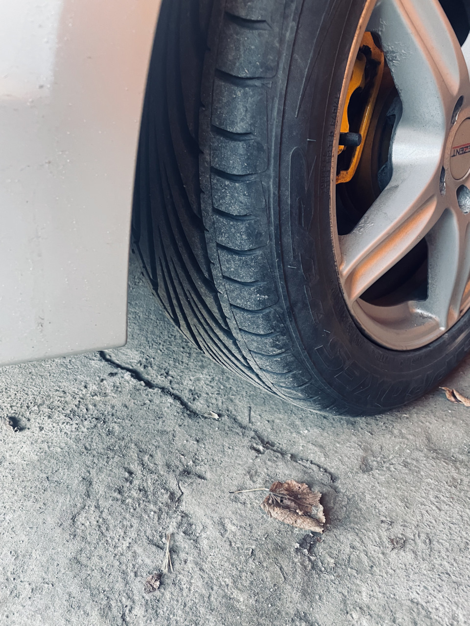 Різаючи 👌 Toyo Proxes t1r 205/55 r16 3
