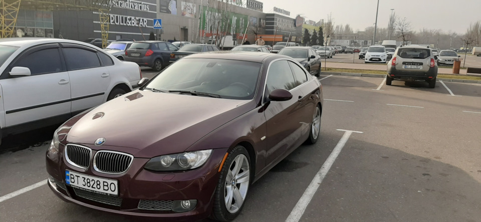 Весна, Килимки і Крузі тепер є сестра:))) 5