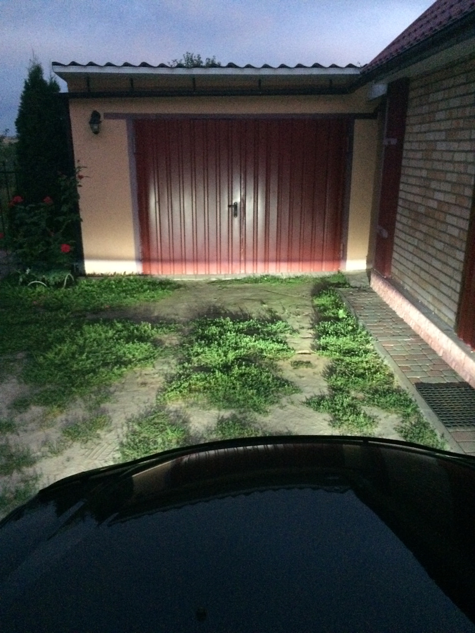 Ксенон у туманках 3