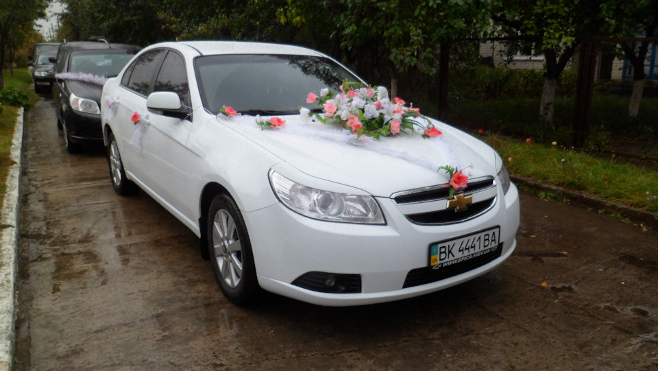 Біла красуня 3