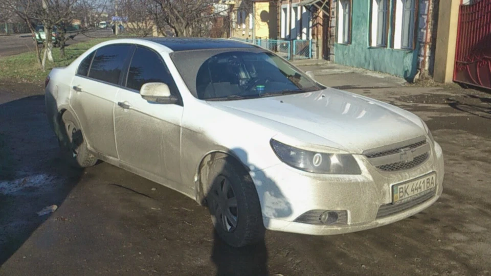 Біла красуня
