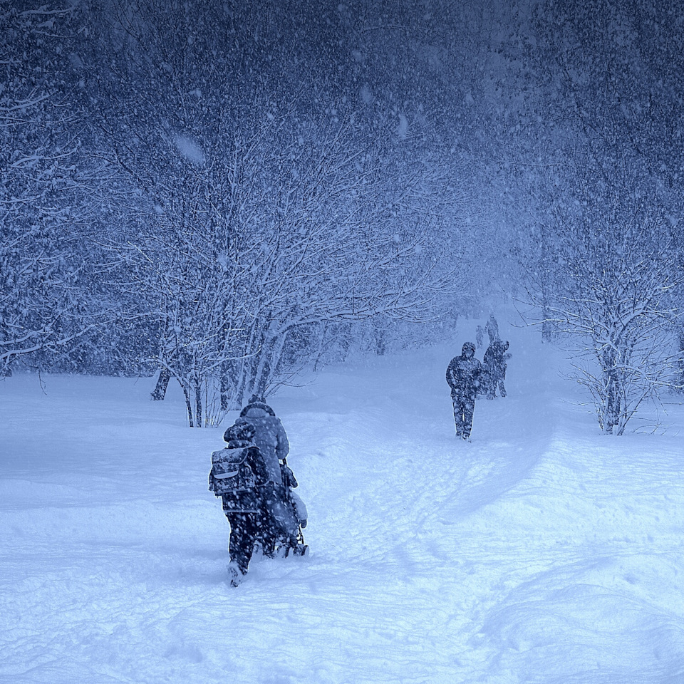 Крапець-холодець!🌬️❄️🧦 4