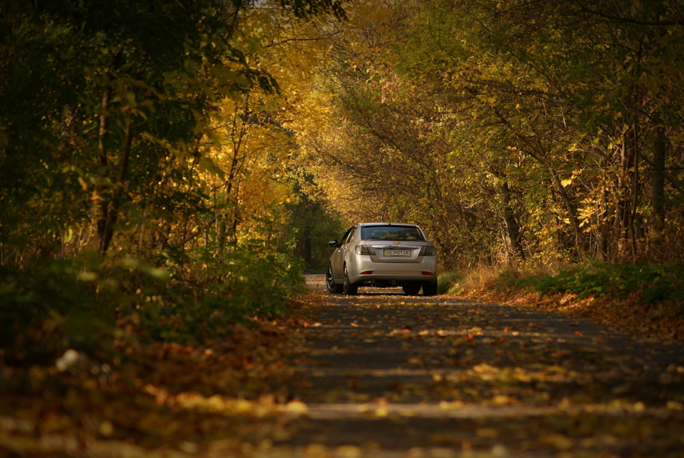 Осінь та фотосет🍂 2