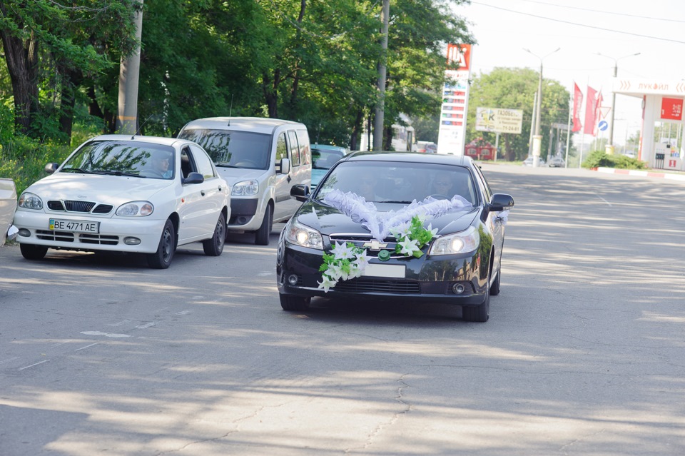 Гармонія на акордеоні 1