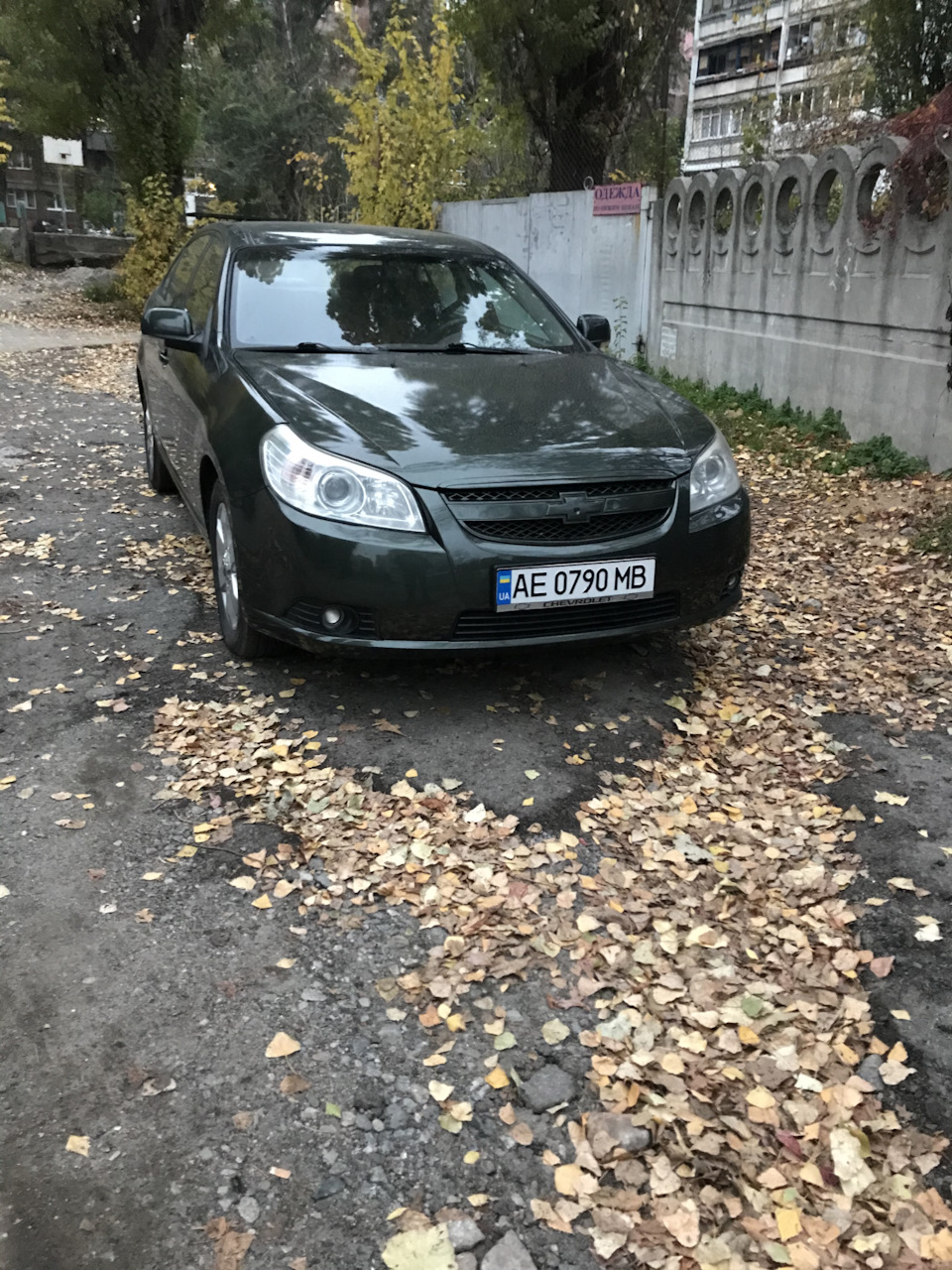 Ляля знову в строю після капіталу) 1