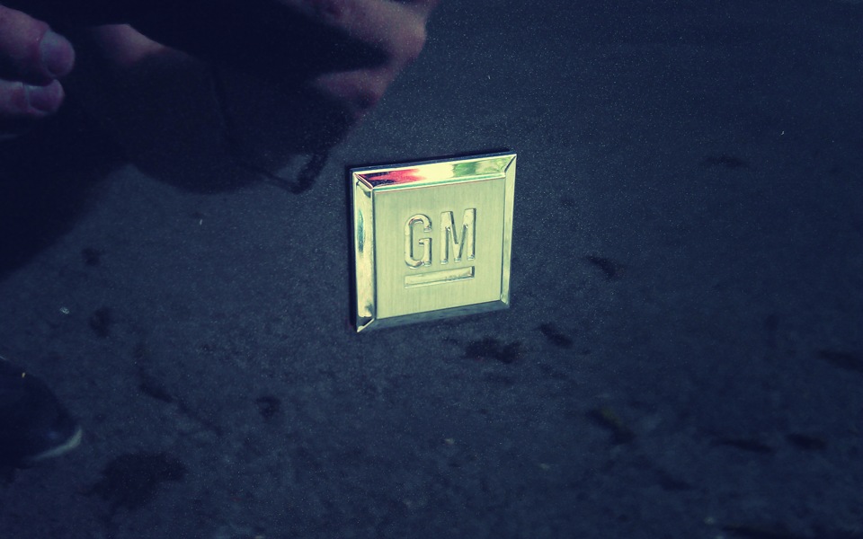 GG-GM plates 1