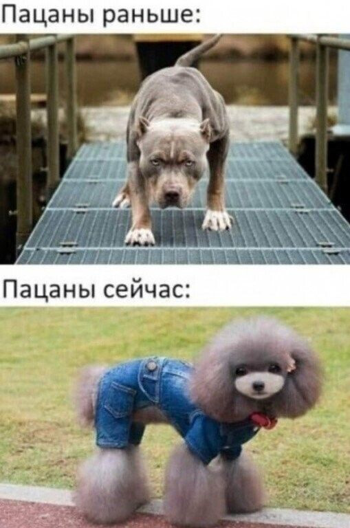 ТО і не тільки 4