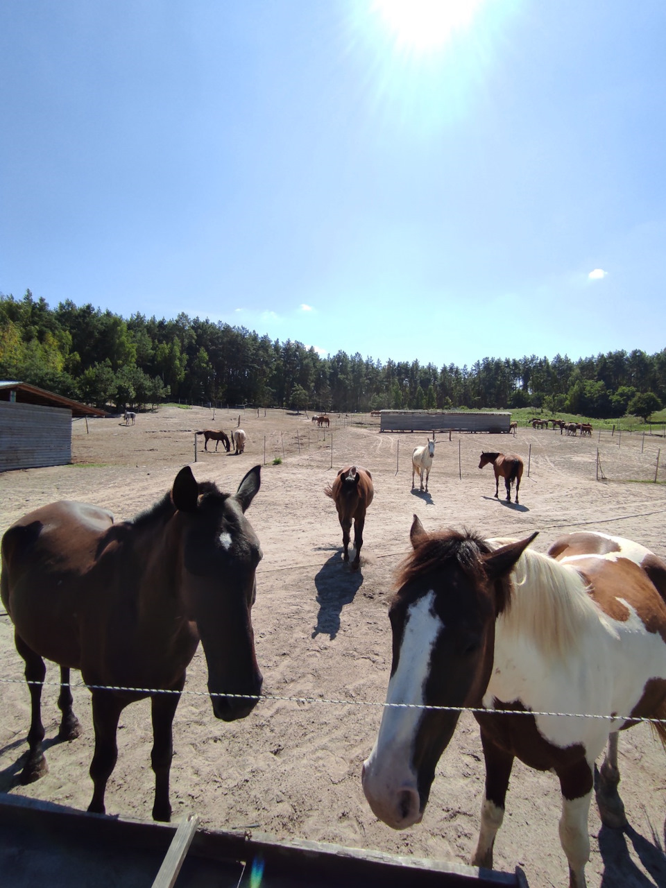 Horsepower 4
