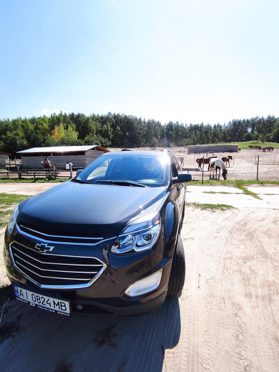 Horsepower 5