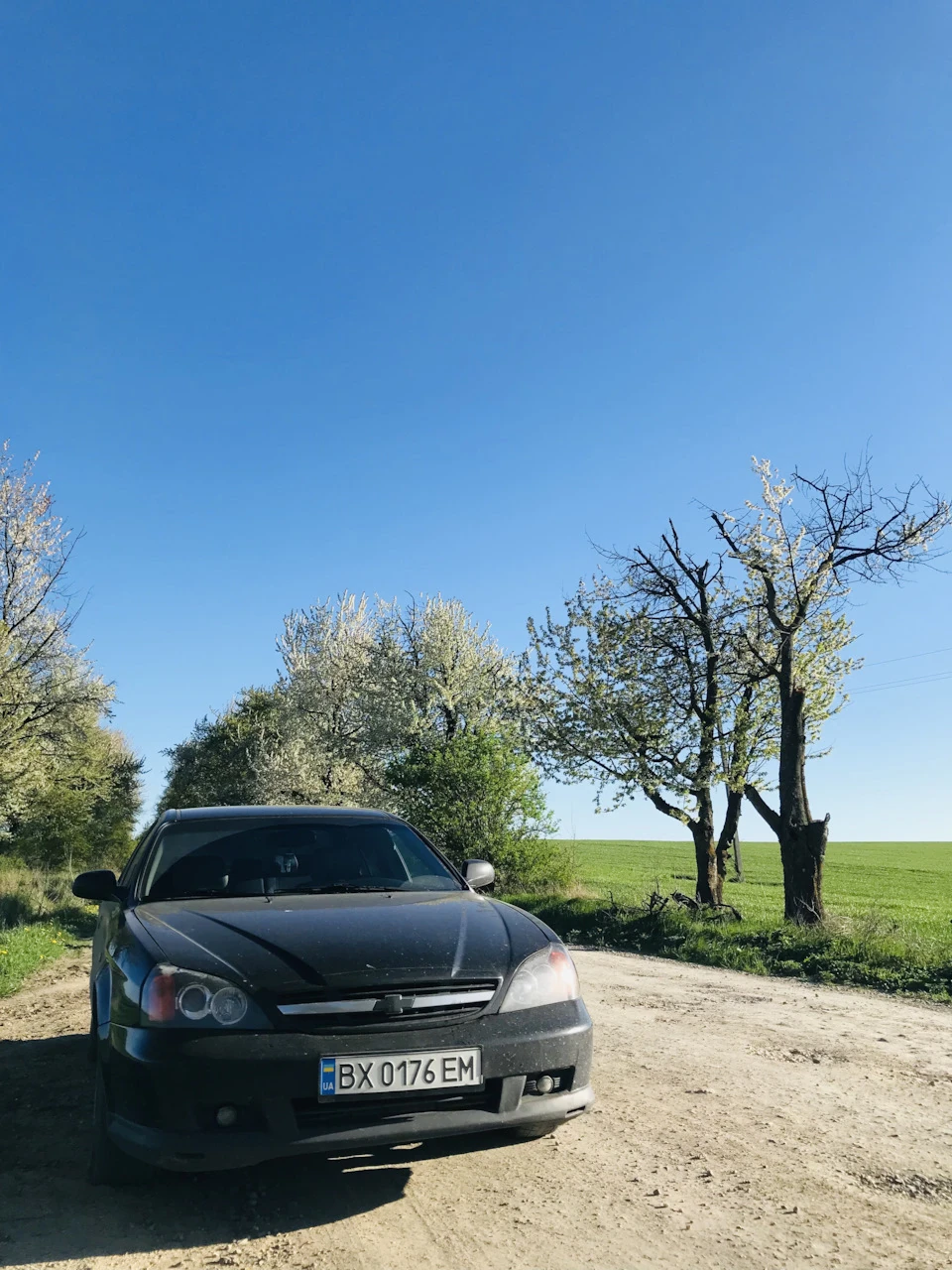 Заміна блоків і кульовий в задніх верхніх цапфах.