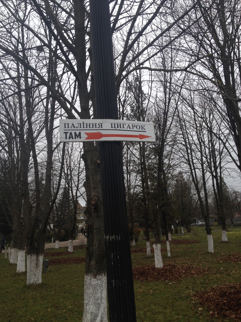Осінь в Івано-Франківську 2