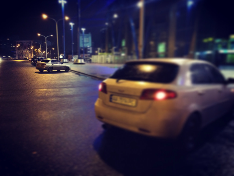 Мишка в Харкові 1