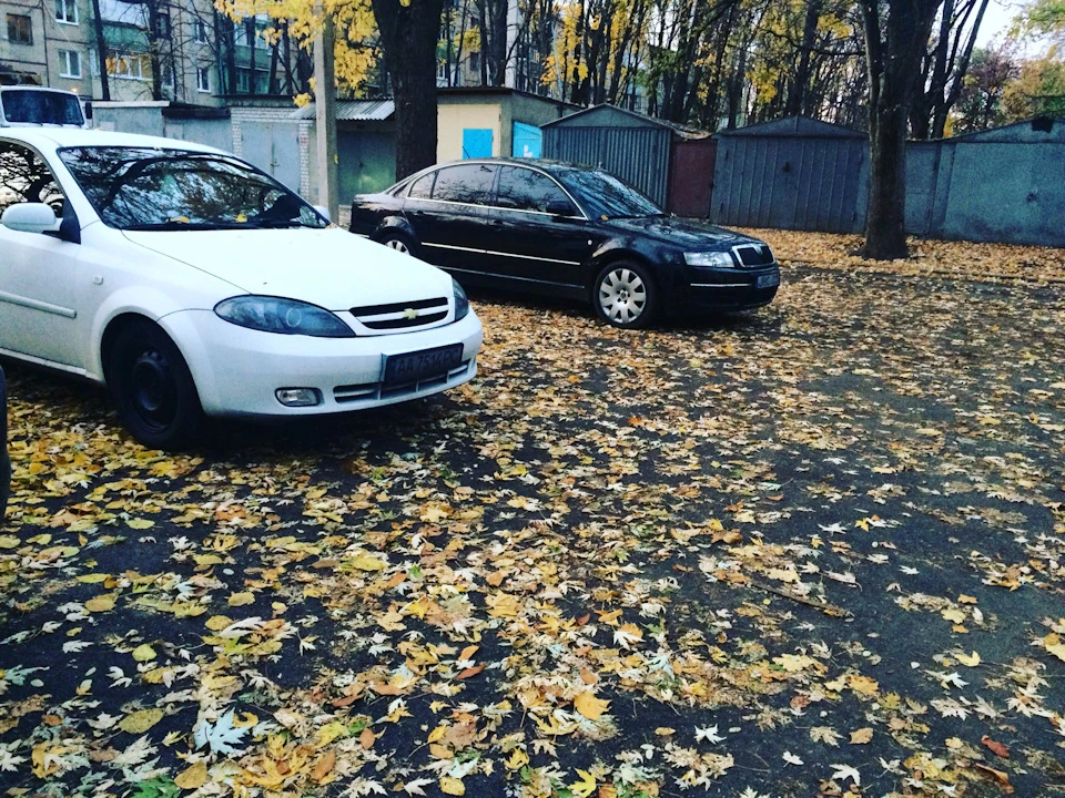 Харків зустрічає снігом ❄️
