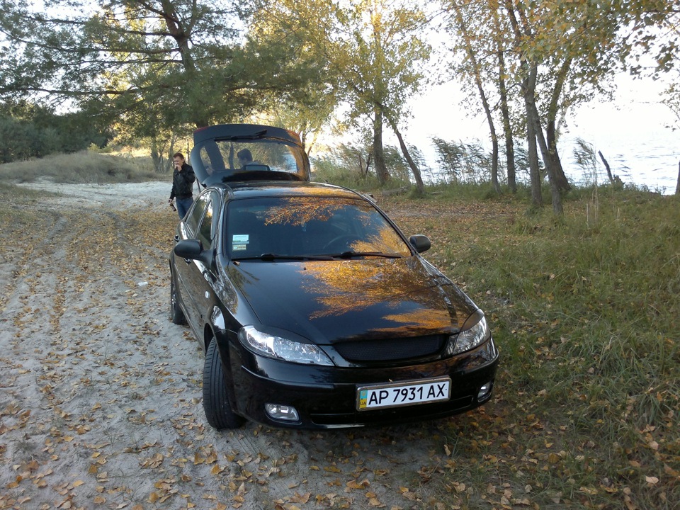 У лісі 1