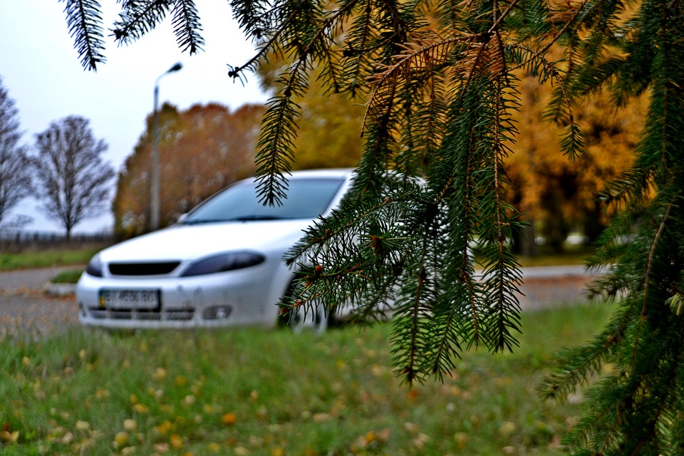 Осінній фотосет 2013 5