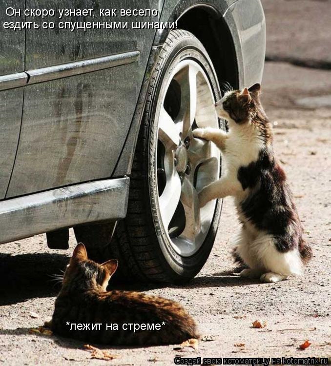 Ось і перший гемор взимку! 1