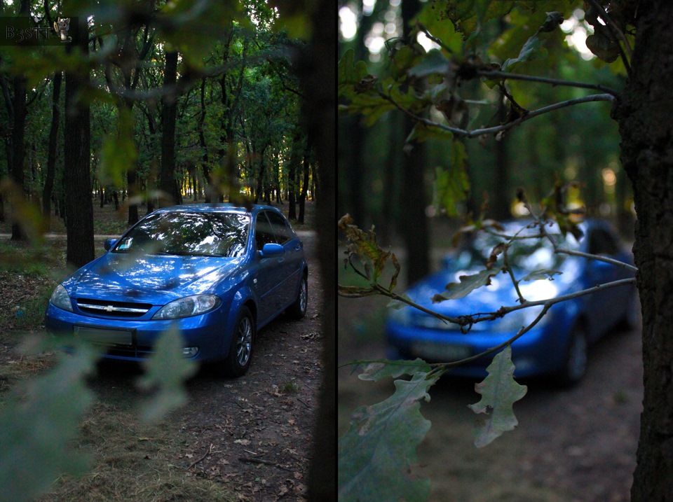 Photosession by b3stt 4