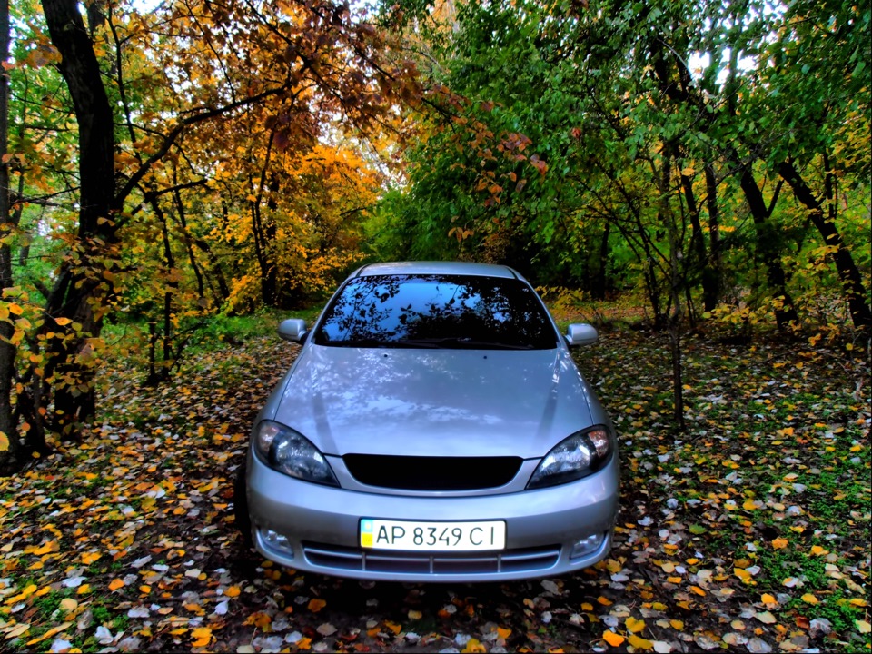 Осінь у лісі:) } 5
