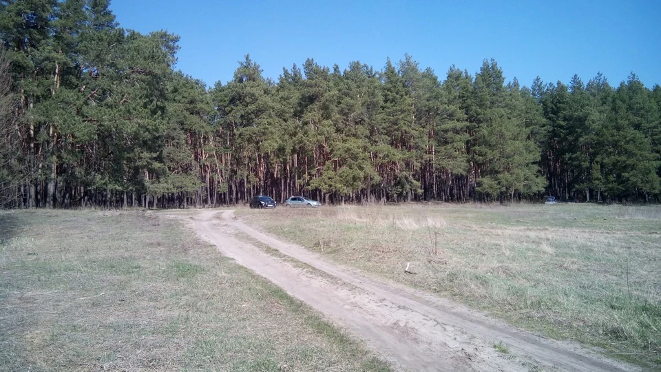Великодній ліс Кочітка