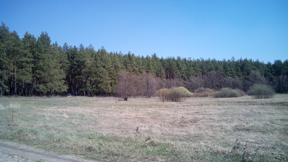 Великодній ліс Кочітка 2
