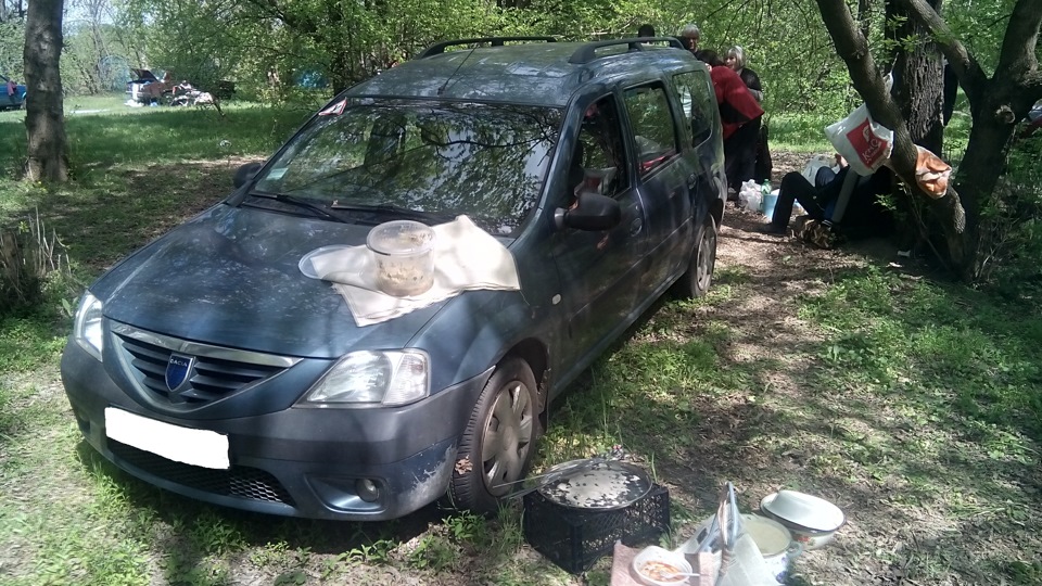 Все на майовку!..в Гомольшанські ліси))) 5