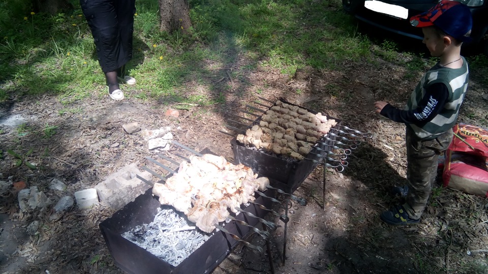 Все на майовку!..в Гомольшанські ліси))) 4