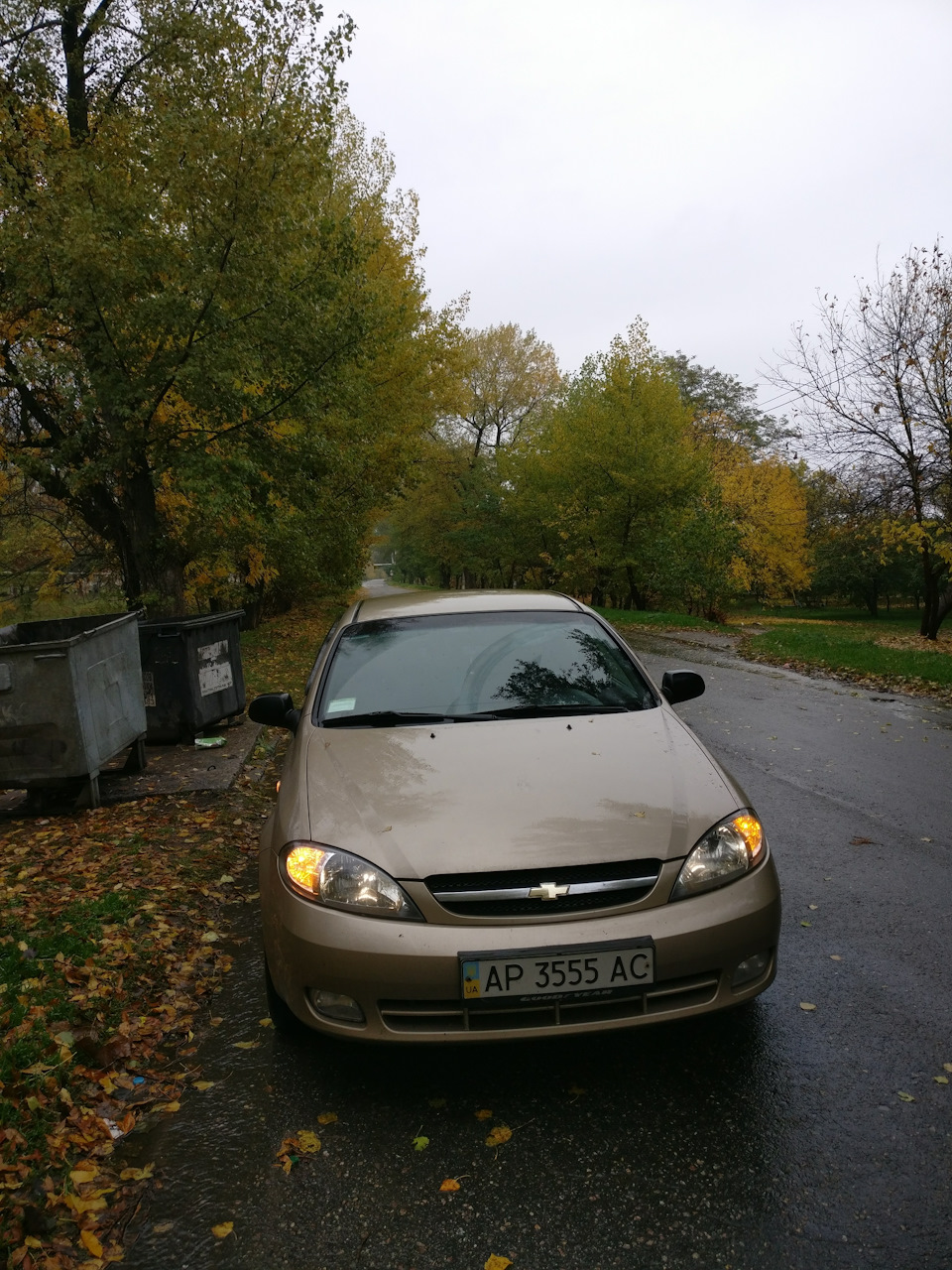 Золота осінь:) 1