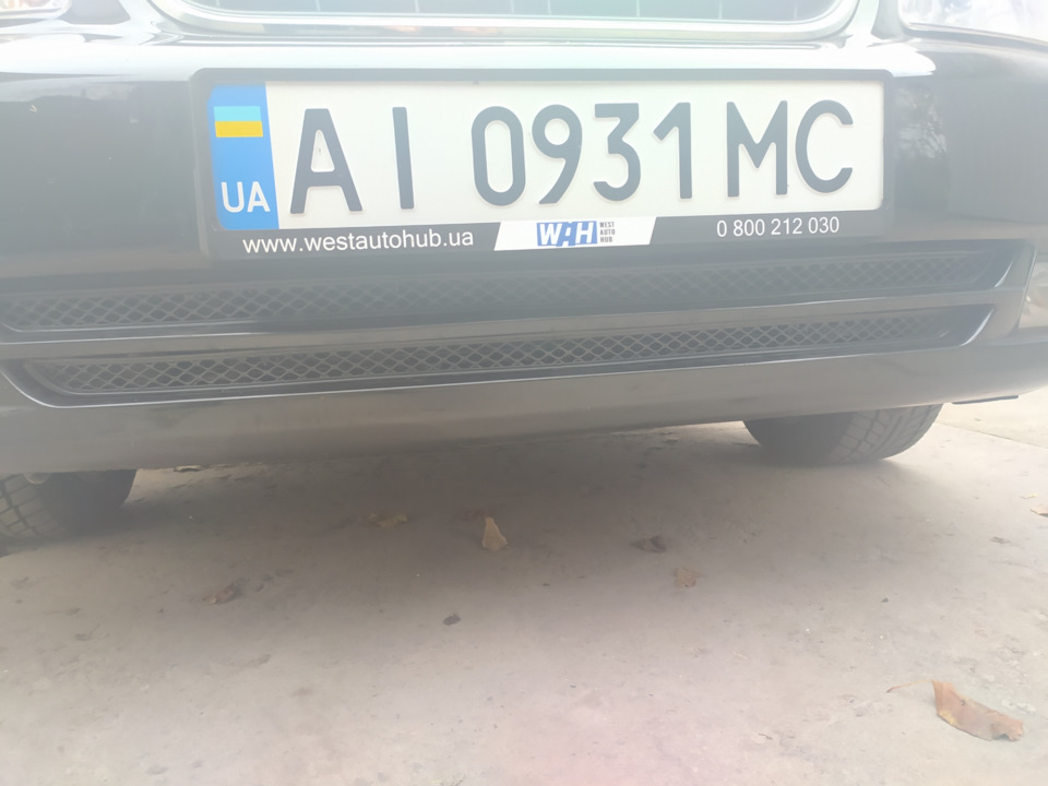Захист радіатора. Сітки бампера. 3