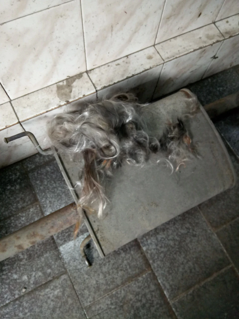Поломка в дорозі, передумали все, що завгодно, а справа була в глушнику