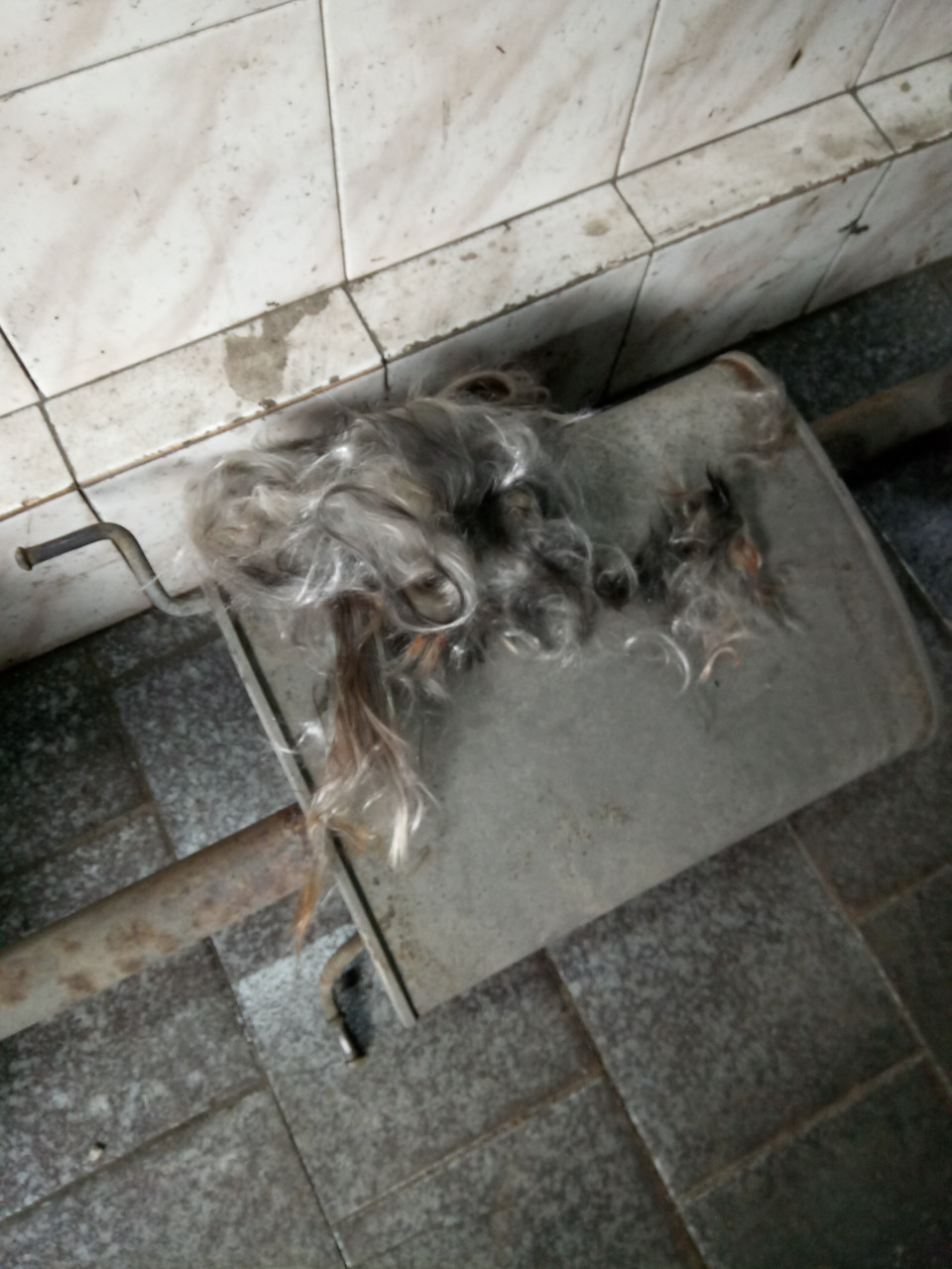 Поломка в дорозі, передумали все, що завгодно, а справа була в глушнику 1