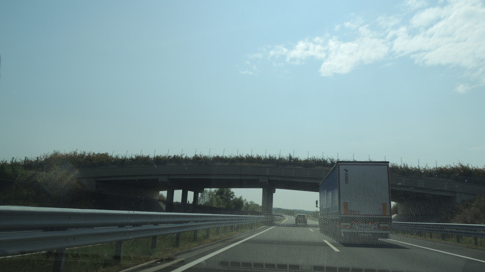 Кордон 2 Угорщина/Хорватія 4