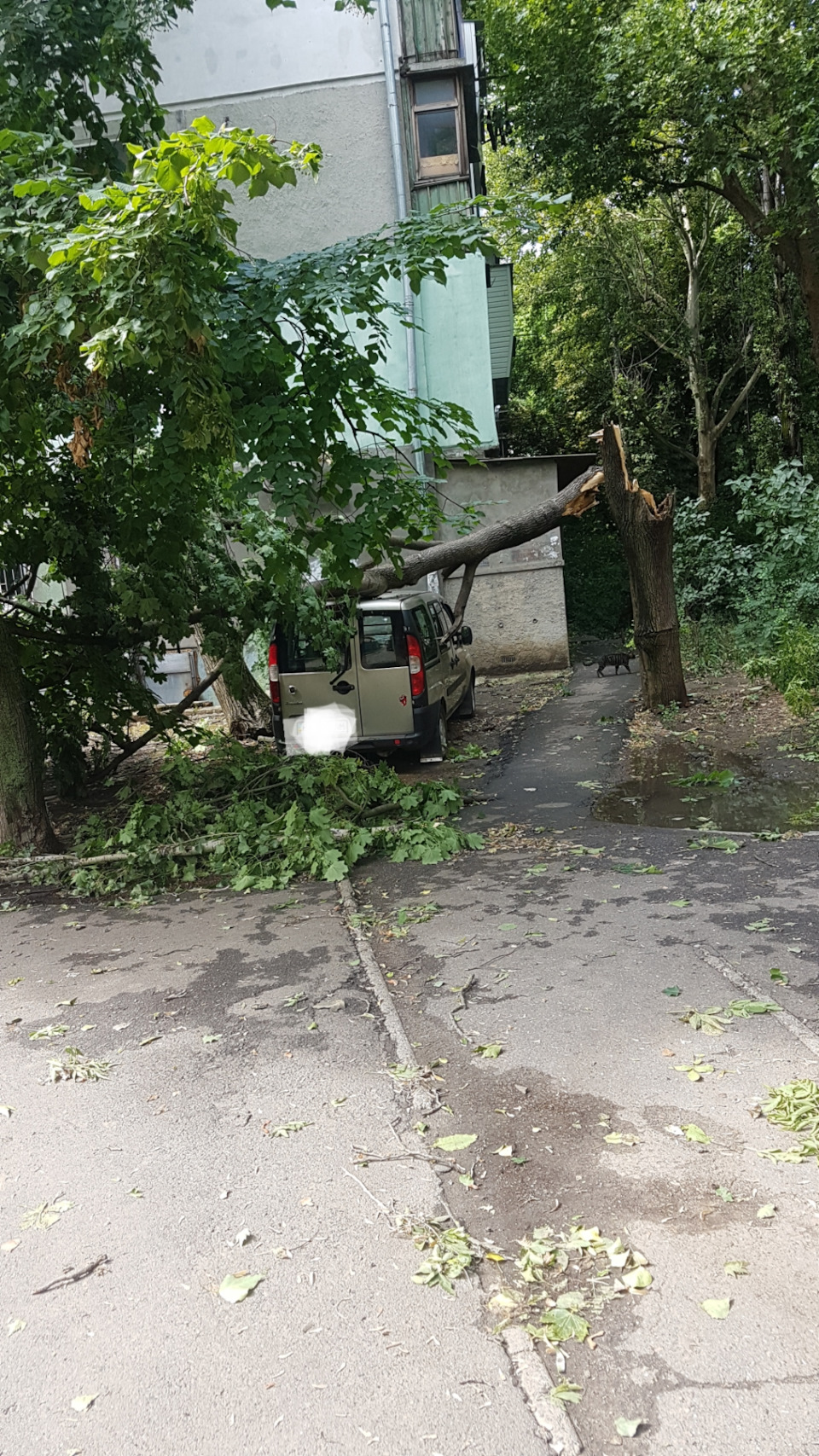 Стихійні лиха 3