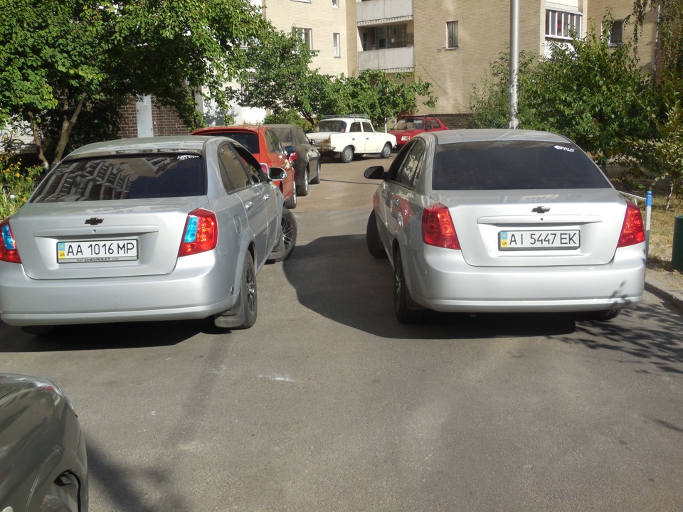 Знайди 10 відмінностей або Зустріч свого улюбленого лачу 3