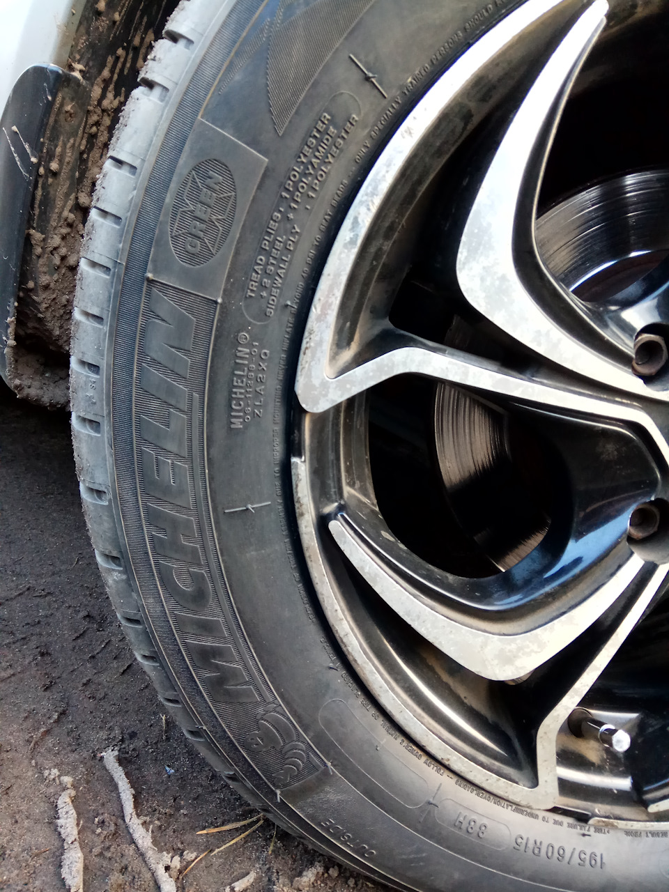 Прикупив Michelin LaЧіку на літо 4