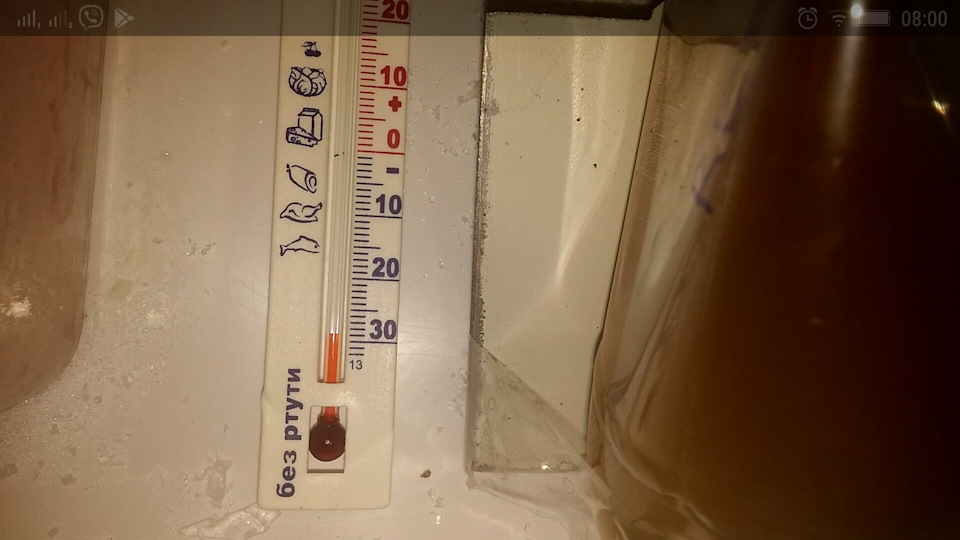 тест 12 год. (-28 5