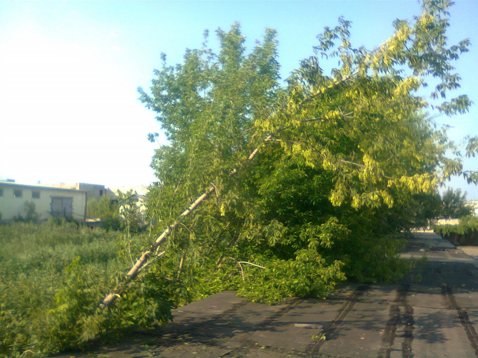Гараж.Глава 1.Пролог. 4
