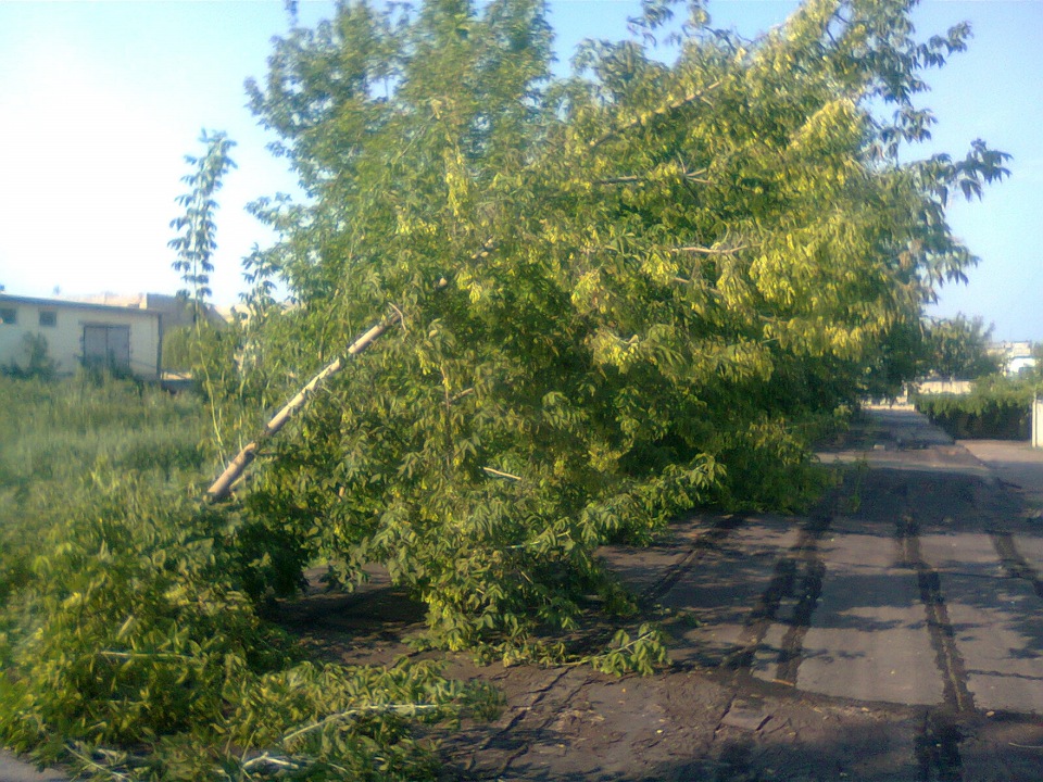 Гараж.Глава 1.Пролог. 3