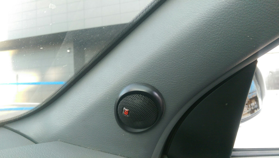 Нова акустика morel maxximo 1