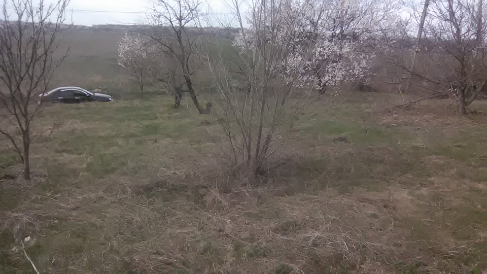 поїздка на дачу Вишня 3