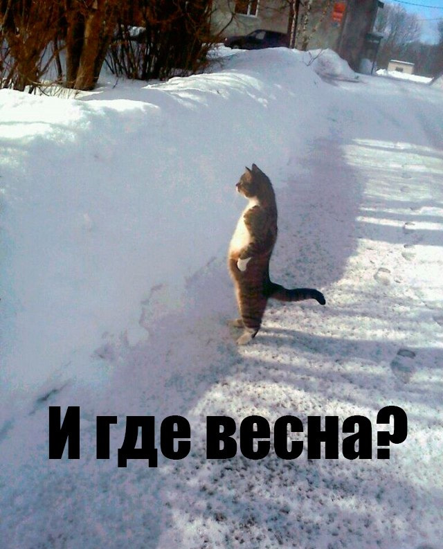 Квітнева погода в Миколаєві... 3